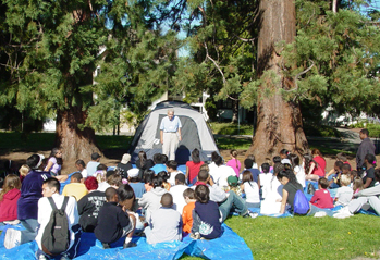 Camp Elmwood, under the trees