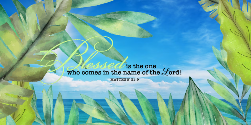 Matthew21_9