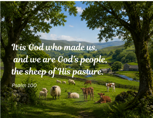 It is God who made us, and we are God’s people, the sheep of His pasture.(2) Green fields with trees in the foreground, with sheep and calves grazing. Text reads: It is God who made us, and we are God's people, the sheep of His pasture. Psalm 100.