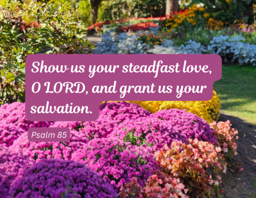 Bulletin 2026-08-09 A colorful, verdant garden with the words "Show us your steadfast love, O LORD, and grant us your salvation. Psalm 85" over the top.