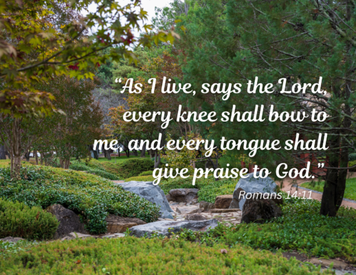 A verdant garden with a stream running through it. Words over the image read "As I live, says the Lord, every knee shall bow to me, and every tongue shall give praise to God." Romans 14:11