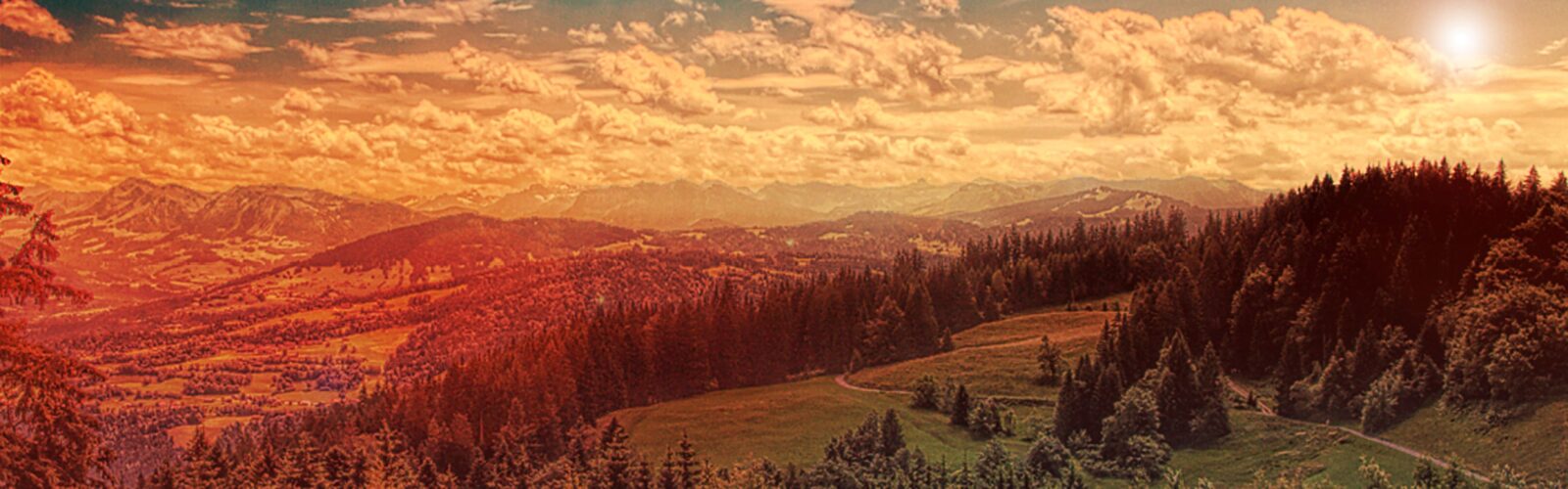 A view during golden hour, looking over a beautiful landscape with blue skies above.