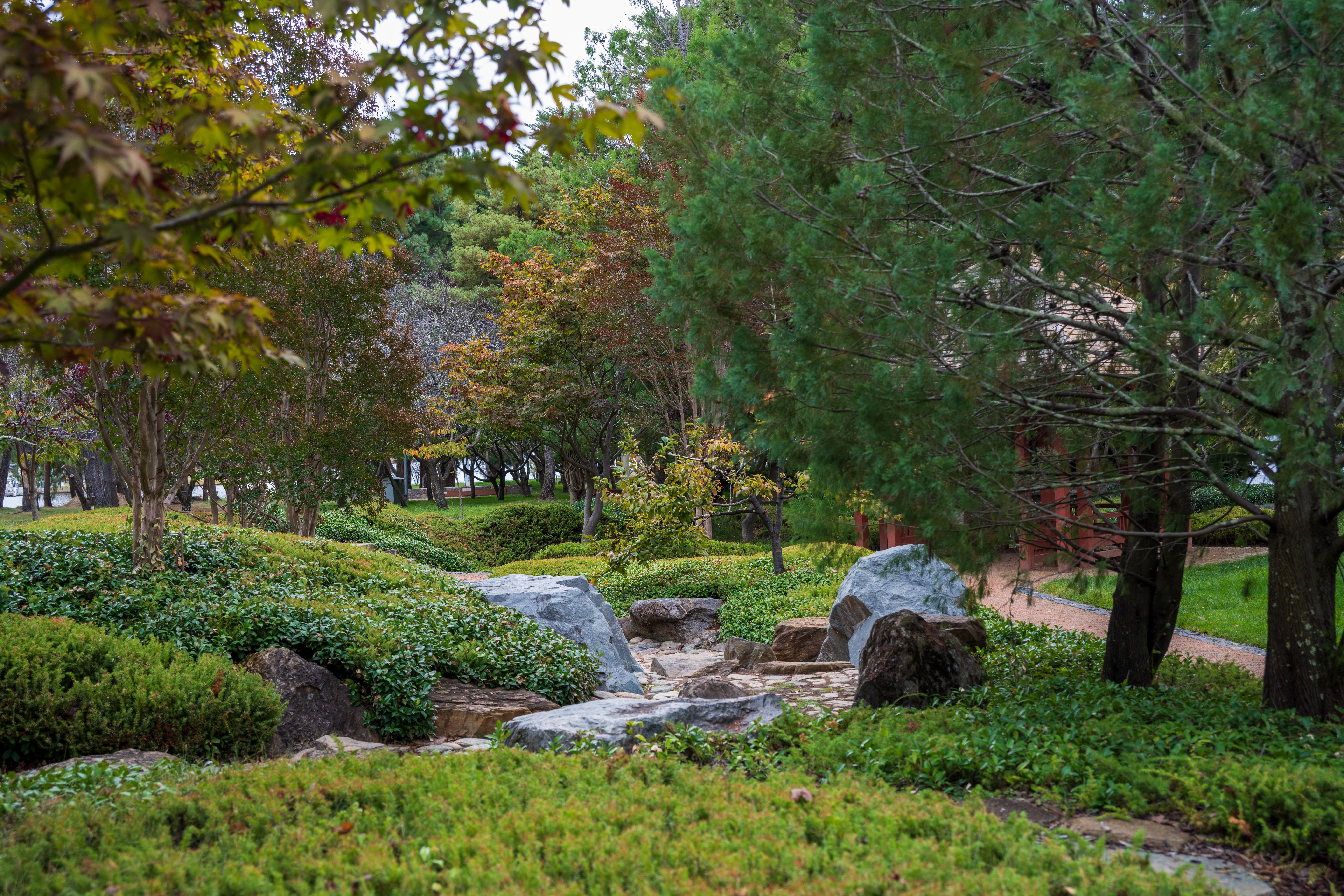 A verdant garden with a stream running through it.